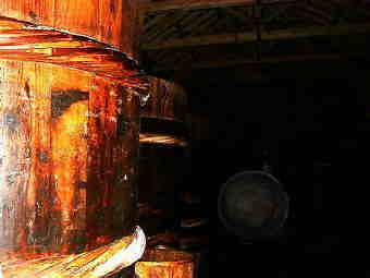 ����ꂽ�͍̂]�ˎ���